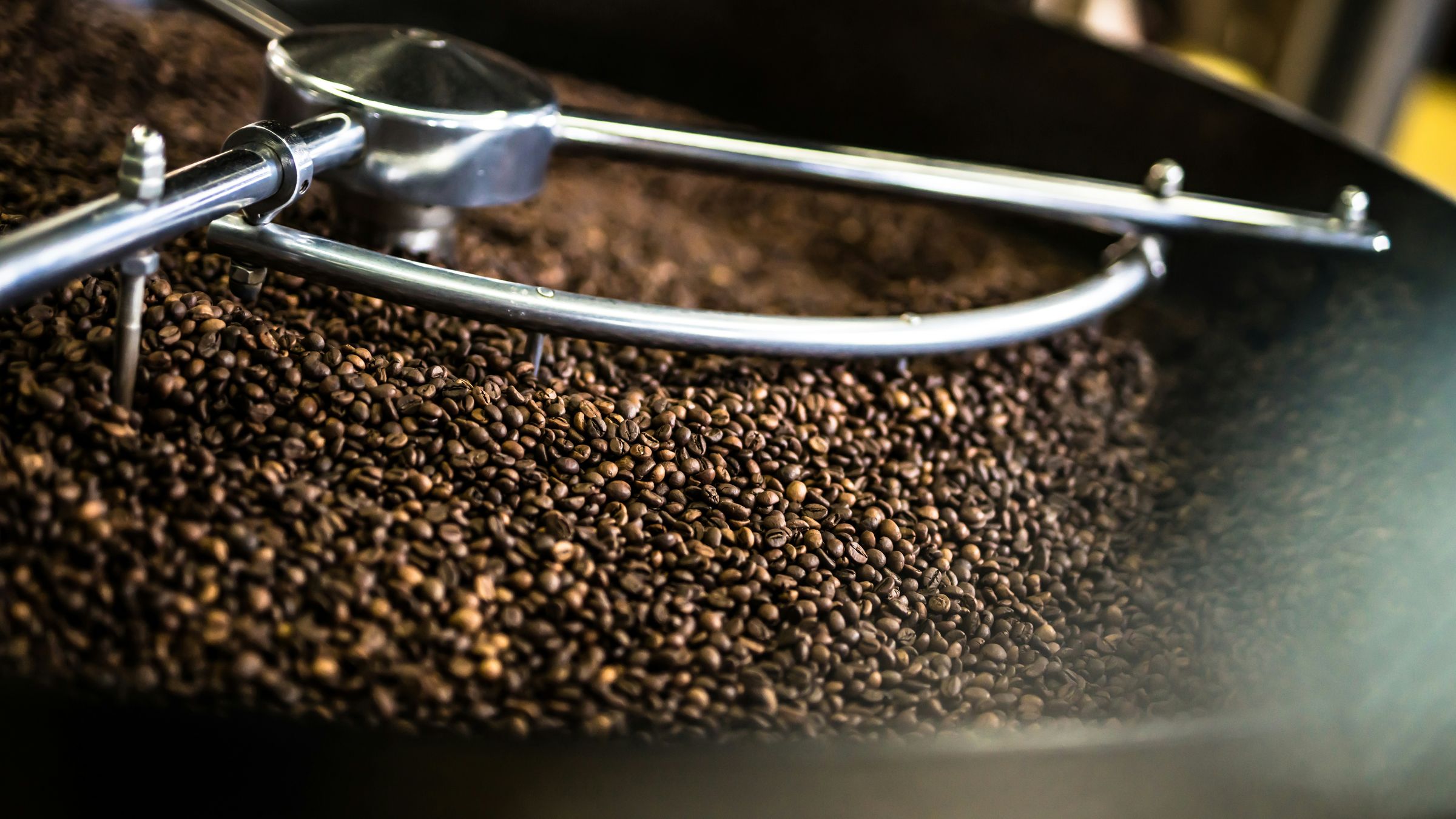 Freshly roasted coffee beans cooling in the tray of a coffee roaster